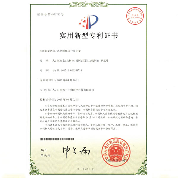 适用新型专利